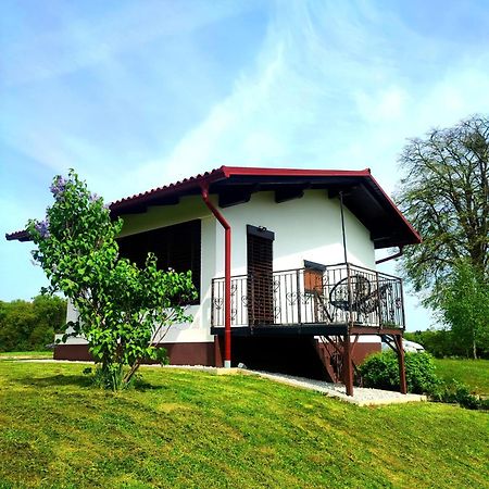 Apartma Kapelski Fant Sveti Jurij ob Scavnici المظهر الخارجي الصورة
